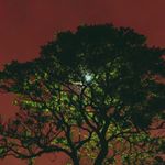 Profile Picture of débora toledo (@debouras) on Instagram