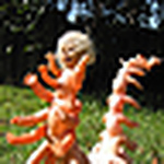 Profile Picture of Mango Morgan (@tiendota ota ota (stgo/envíos)) on Flickr