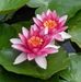 Profile Picture of Christine Gould (@christine.m.gould.5) on Facebook