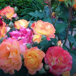 Profile Picture of Vivian (@offcialbacon) on Instagram