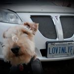 Lisa Killick - Instagram Profile Picture of Lisa Killick (@lisa.killick.79) on Instagram