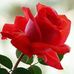 Profile Picture of Sruthy Joshy (@sruthy.joshy.1) on Facebook