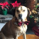 Profile Picture of Melne Richard (@richmels) on Instagram