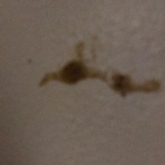 Profile Picture of Jeffrey Mcgurk (@jeffreyeagles18) on Poshmark