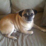 Profile Picture of jeremy (@assaltbanana09) on Instagram