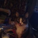 Profile Picture of Monica Bradley (@monica.bradley.583) on Instagram