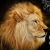 Profile Picture of Anil (@@guystuart406) on Tiktok