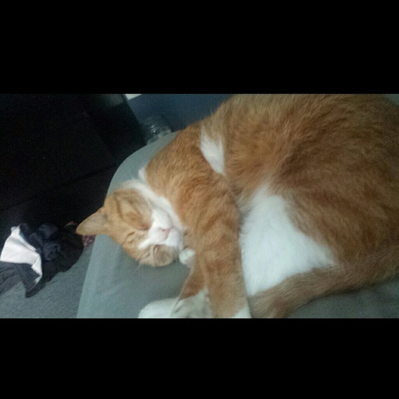 Profile Picture of Damiano Saffos (@lastnthebest88) on Poshmark