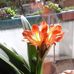 Profile Picture of Karl Freimuth (@karl.freimuth.73) on Facebook