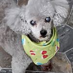 Profile Picture of Sherry M. Sylvester (@sherry.m.sylvester) on Instagram