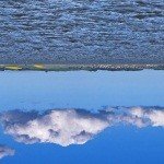 Profile Picture of edison (@austinxen8) on Instagram