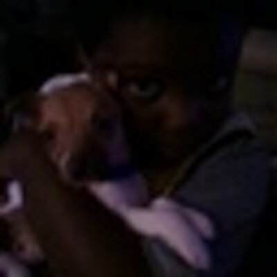 Profile Picture of Matthew Smoot Willso (@matthewcatman) on Twitter