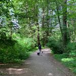 Profile Picture of monica_badial (@monica_badial) on Instagram