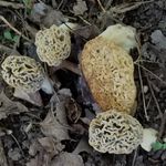 Profile Picture of Stanley Ray Harlan (@stanley.r.harlan.3) on Instagram