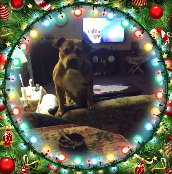 Evangelina Warren - Poshmark Profile Picture of Evangelina Warren (@evangelinawa242) on Poshmark