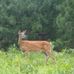 Profile Picture of Randy Faubert (@randy.faubert.5) on Facebook