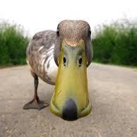 Profile Picture of Seth Mattson (@sethmattson443) on Twitter