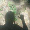 Profile Picture of Kim Crowder (@@kimcrowder) on Tiktok