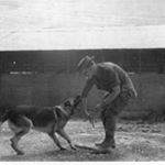 ron Breen - Instagram Profile Picture of ron Breen (@pappajoe48) on Instagram