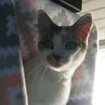 Profile Picture of Florence Hogan (@florence.hogan.18294) on Instagram