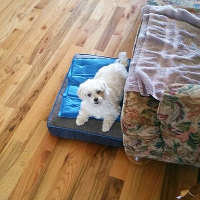 Profile Picture of Blake Dyer (@blakedyer3652) on Twitter