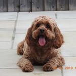 Profile Picture of Robert James Berman (@robberman10) on Instagram