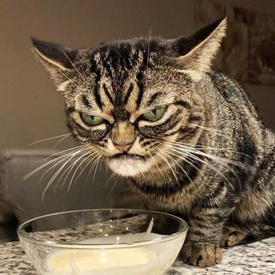 Profile Picture of Michael Howington (@Michael45056425) on Twitter