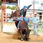 Profile Picture of Scott Lavis (@scotthorse) on Instagram