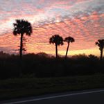 Profile Picture of Michael D Runnels (@michael.d.runnels) on Instagram