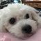 Profile Picture of Alice Ohler (@alice.ohler.39) on Facebook