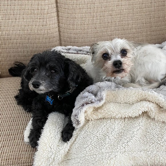 Profile Picture of Mary Baldonieri (@rbaldon) on Poshmark