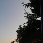 Profile Picture of danielenoviello (@daniel_noviello) on Instagram