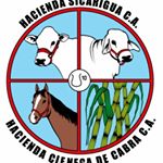 Profile Picture of Hacienda Sicarigua CA. (@hacienda_sicarigua_ca) on Instagram
