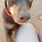 Profile Picture of Tammy Stokes (@tammy.stokes.56884) on Instagram