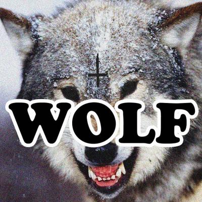 Profile Picture of Max Lutz (@NotGoodAt) on Twitter