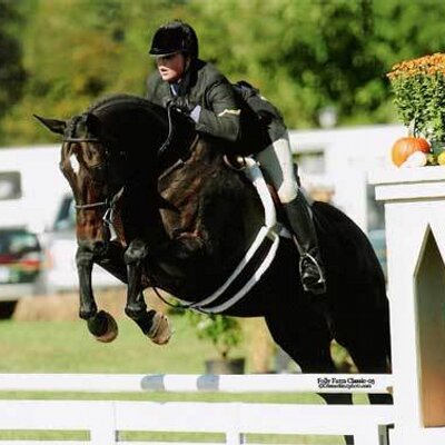 Profile Picture of Lara Hanson (@MagicBreyer98) on Twitter