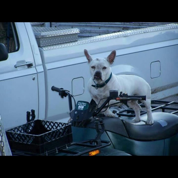 Profile Picture of Selena Schmidt (@bugkiya) on Poshmark