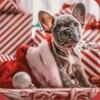 Profile Picture of Autumn Poole157 (@@tradingsthings_23) on Tiktok