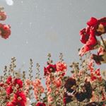 Profile Picture of Candy Cortez (@itz._.candyyy) on Instagram