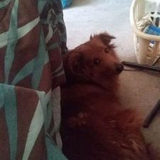 Profile Picture of Amanda Hamrick (@BabyGirl4206987) on Twitter