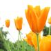 Profile Picture of Mehran Chowdhury (@mehran.chowdhury.5) on Facebook