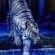 Profile Picture of Michael Daughenbaugh (@michael.daughenbaugh.7) on Facebook