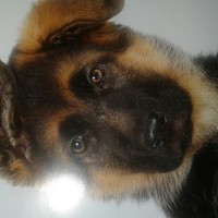 Profile Picture of Julianna Russo (@julianna-russo-9) on Quora