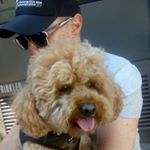 Profile Picture of Stephen Chaplin (@viewfromthetop) on Instagram