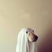 Profile Picture of Scott Goodfellow (@goodfellow0271) on Pinterest