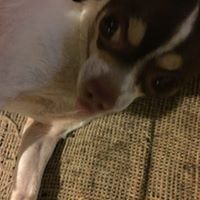 Profile Picture of Nathan Stotts (@nathanstotts) on Pinterest
