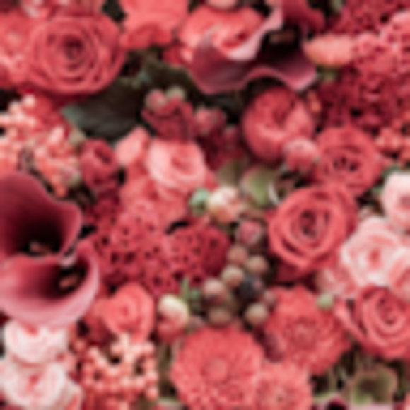 Profile Picture of Ellie Schultz (@elschultz09) on Poshmark