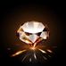 Profile Picture of Lisa Reppengart (@lisa.reppengart.3) on Facebook