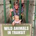 Profile Picture of Maureen Dunlop (@maureen.dunlop.104) on Facebook