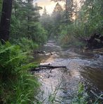 Profile Picture of Jason Hobson (@jason.hobson.374) on Facebook